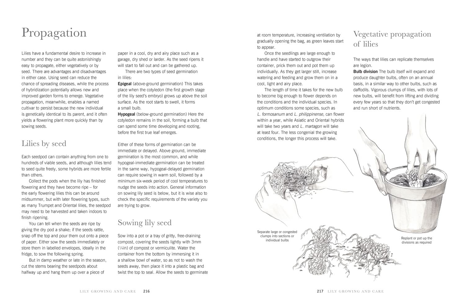 Lilies: The ultimate flower guide for growing, flowering and cutting varieties for the home and gardening