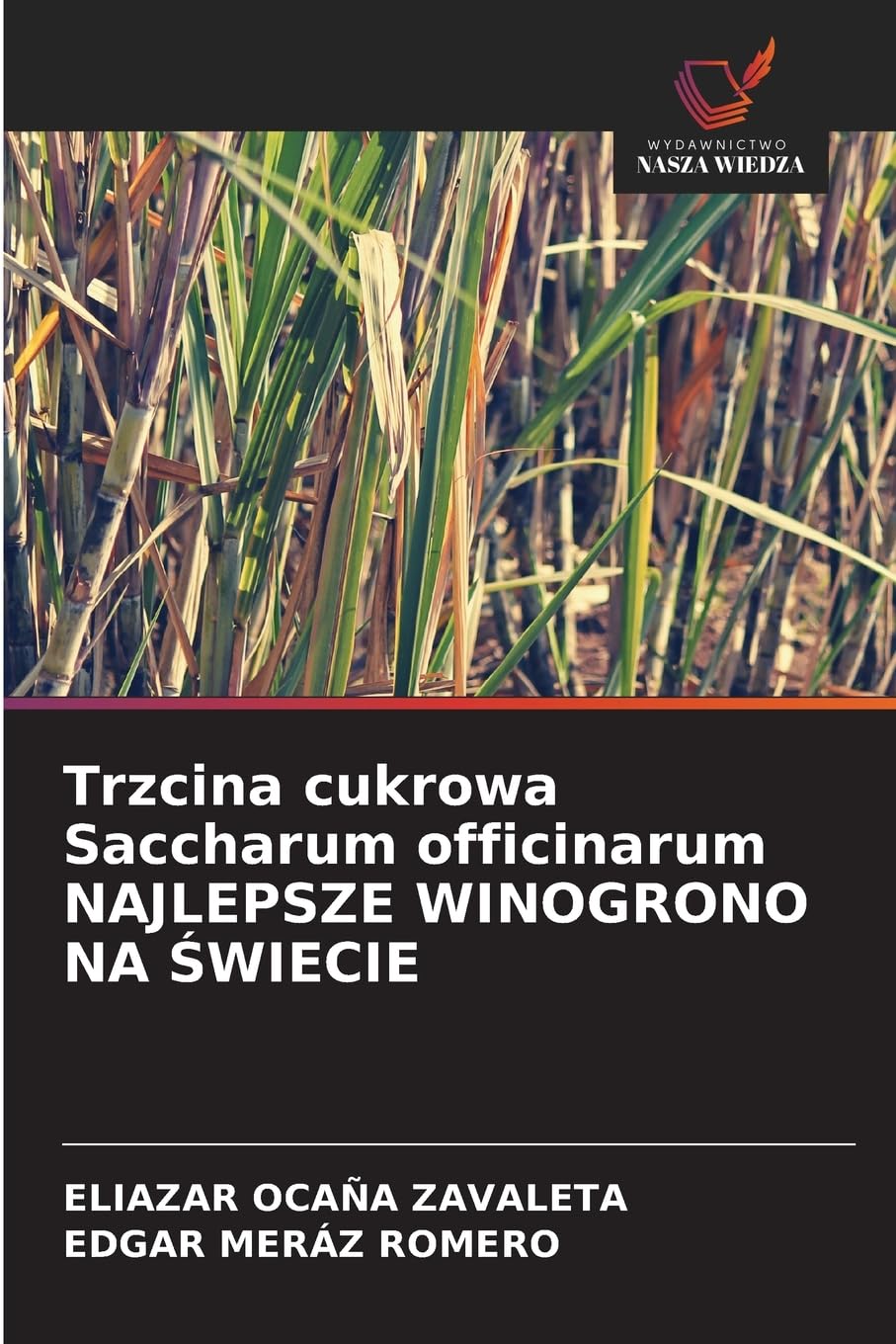 Trzcina cukrowa Saccharum officinarum NAJLEPSZE WINOGRONO NA ¿WIECIE
