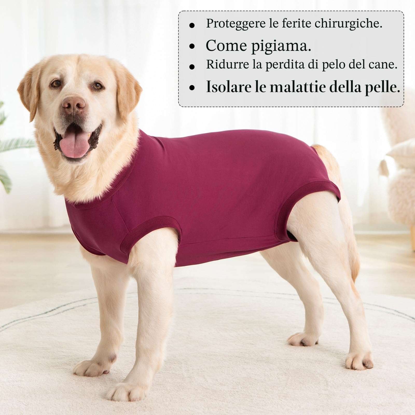 Body Post Operatorio Cane Femmina Maschio Tutina Post Operatoria Cane Tuta da Recupero Body per Cani dopo Sterilizzazione Fascia Addominale Post-operatoria Pigiama Vestito Chirurgico per Cani