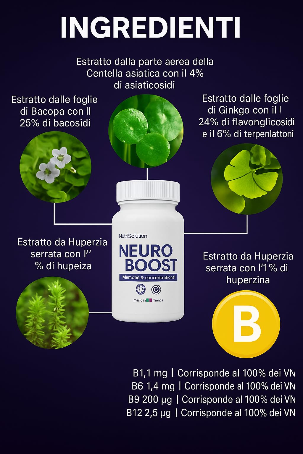 NeuroBoost: Integratore Naturale di Supporto Cognitivo con Ginkgo Biloba, Vitamina B12 ed Estratti di Piante - Nutre la Memoria, la Concentrazione e la Salute Cognitiva - 60 Capsule Vegane (3)