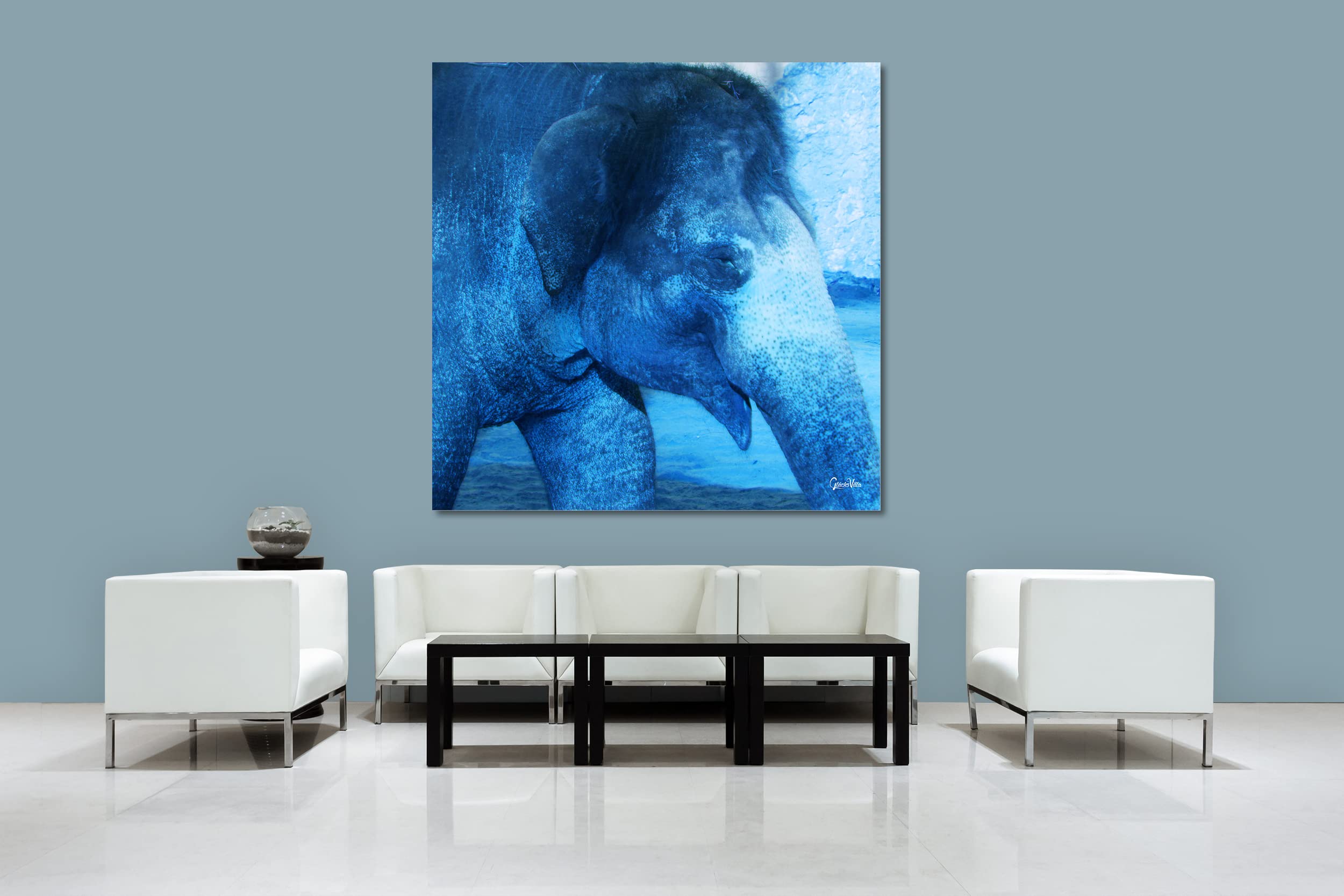 Glücksvilla - Der Elefant 1 - (Acrylglas-Bild 5 mm, 140 x 140 cm) | div. Maße - aus DE - Kunstdruck XXL Deko Wandbild Quadrat - Wildnis Afrika Natur Tier Fotografie