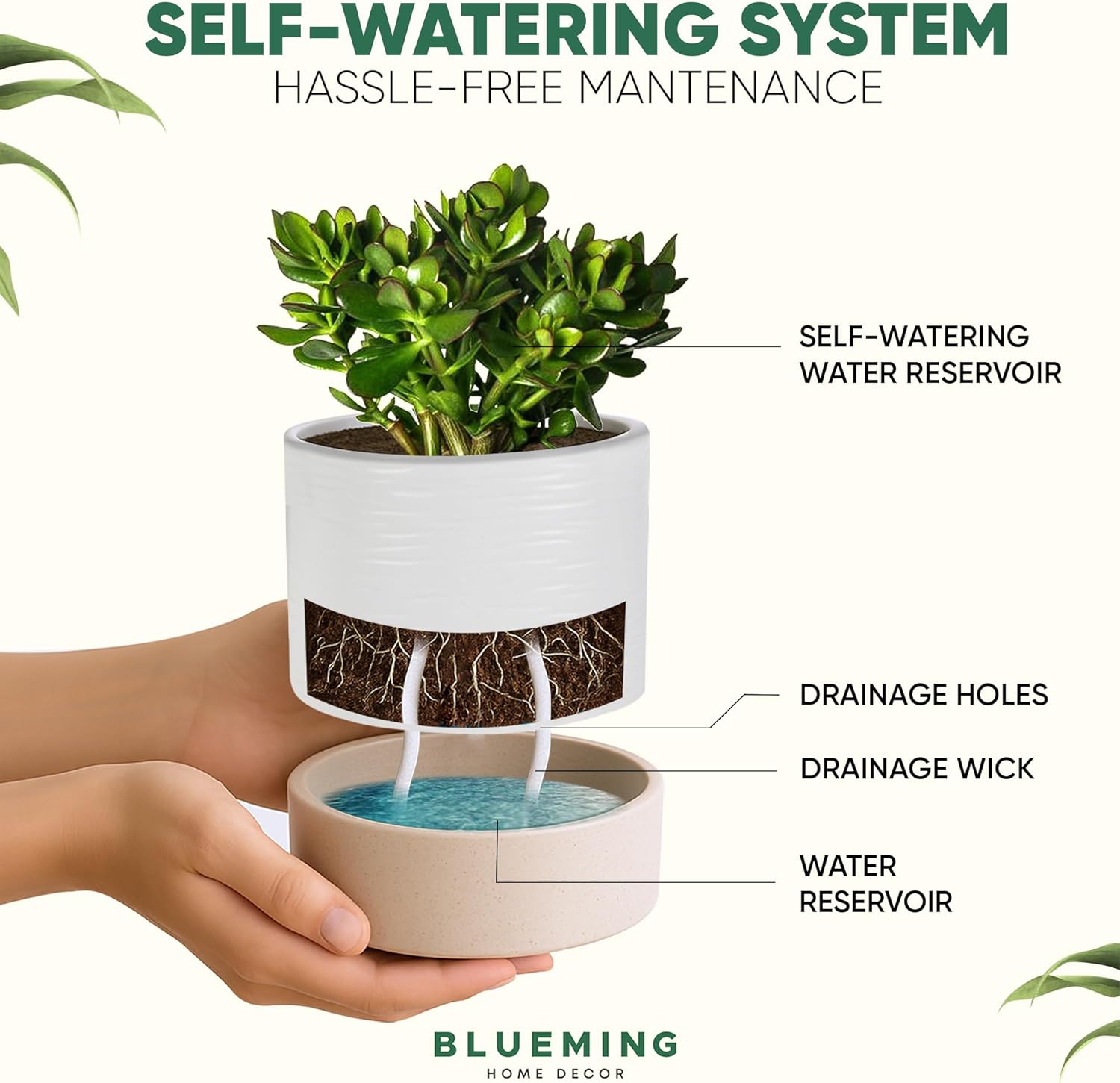 Ceramic Self Watering Plant Pots – 6 Inch Planter for Indoor House Plants with Drainage & Water Storage for Succulents (White & Beige, 7" Tall)