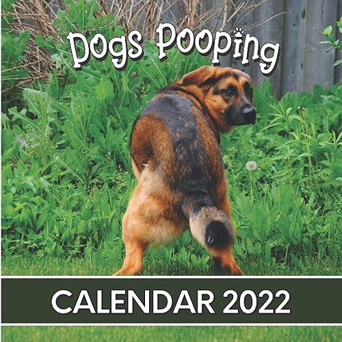 Dogs Pooping Calendar 2022: Funny pooches in awkward positions in nature - planner for White Elephant Gag Secret Santa Birthday Christmas - Perfect joke prank and hilarious Gift