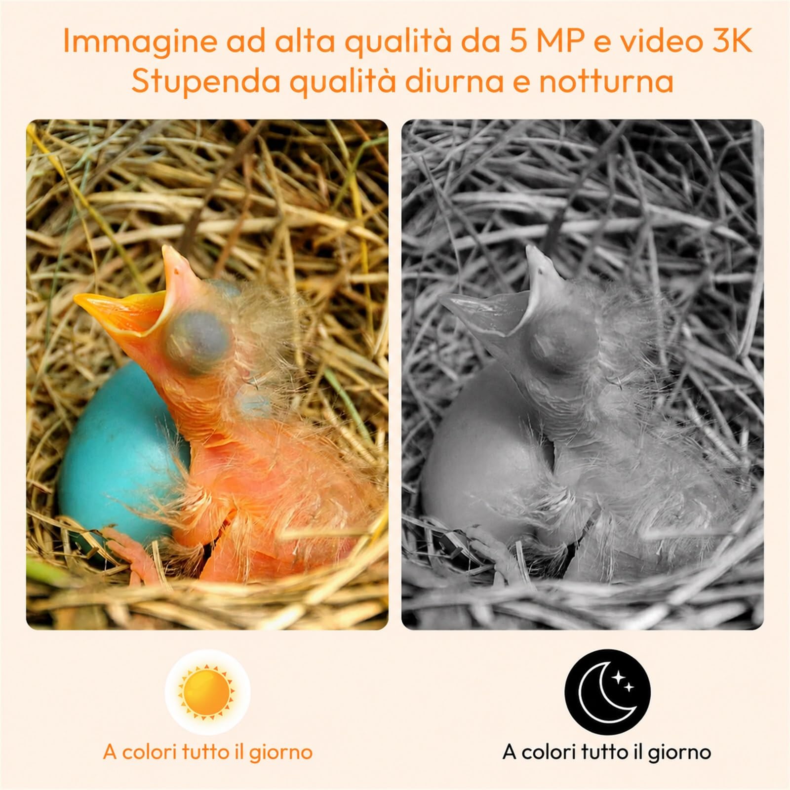 Casetta per Uccelli con Fotocamera Solare 5MP, Contenitore per Uccelli per Esterni, 2,4G WiFi e Notifica APP, Registrazione Video/Foto e Rilevamento del Movimento, Osservare la Vita Degli Uccelli, B