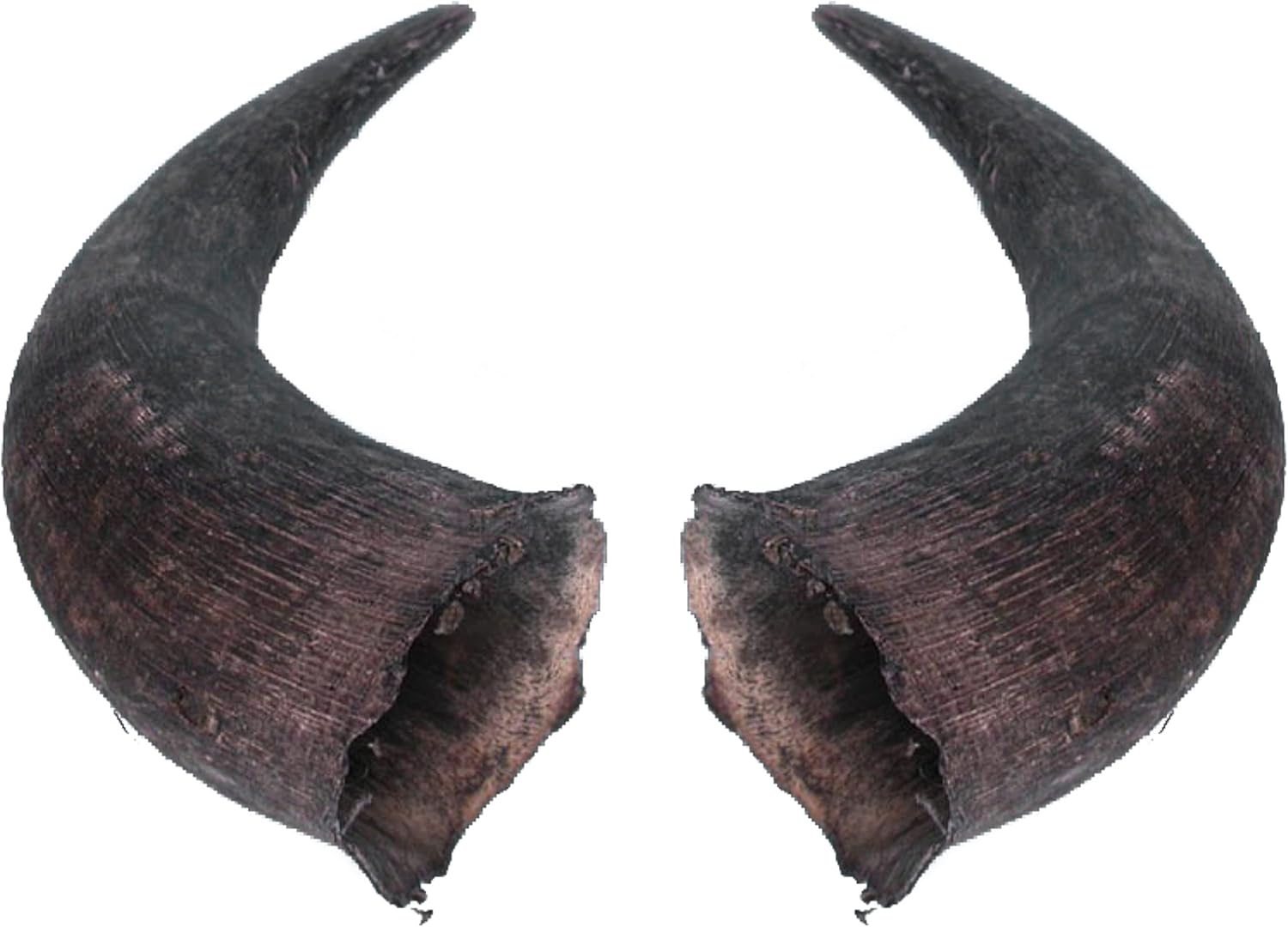 Matching pair (2) Large Real North American Buffalo Horns