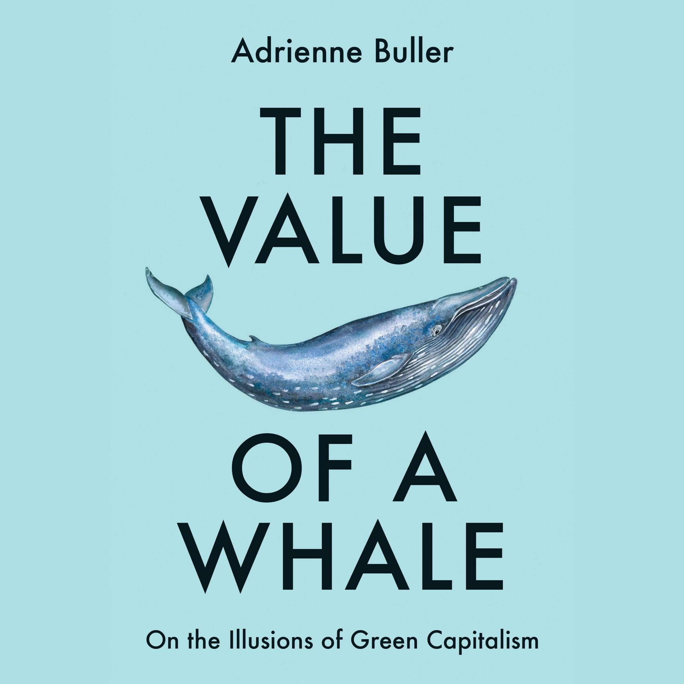 The Value of a Whale