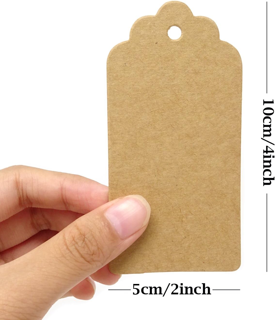 Honbay 100PCS 10x5cm/4x2inch Kraft Paper Blank Gift Tags Labels with 100 Feet Jute Twine (Brown)