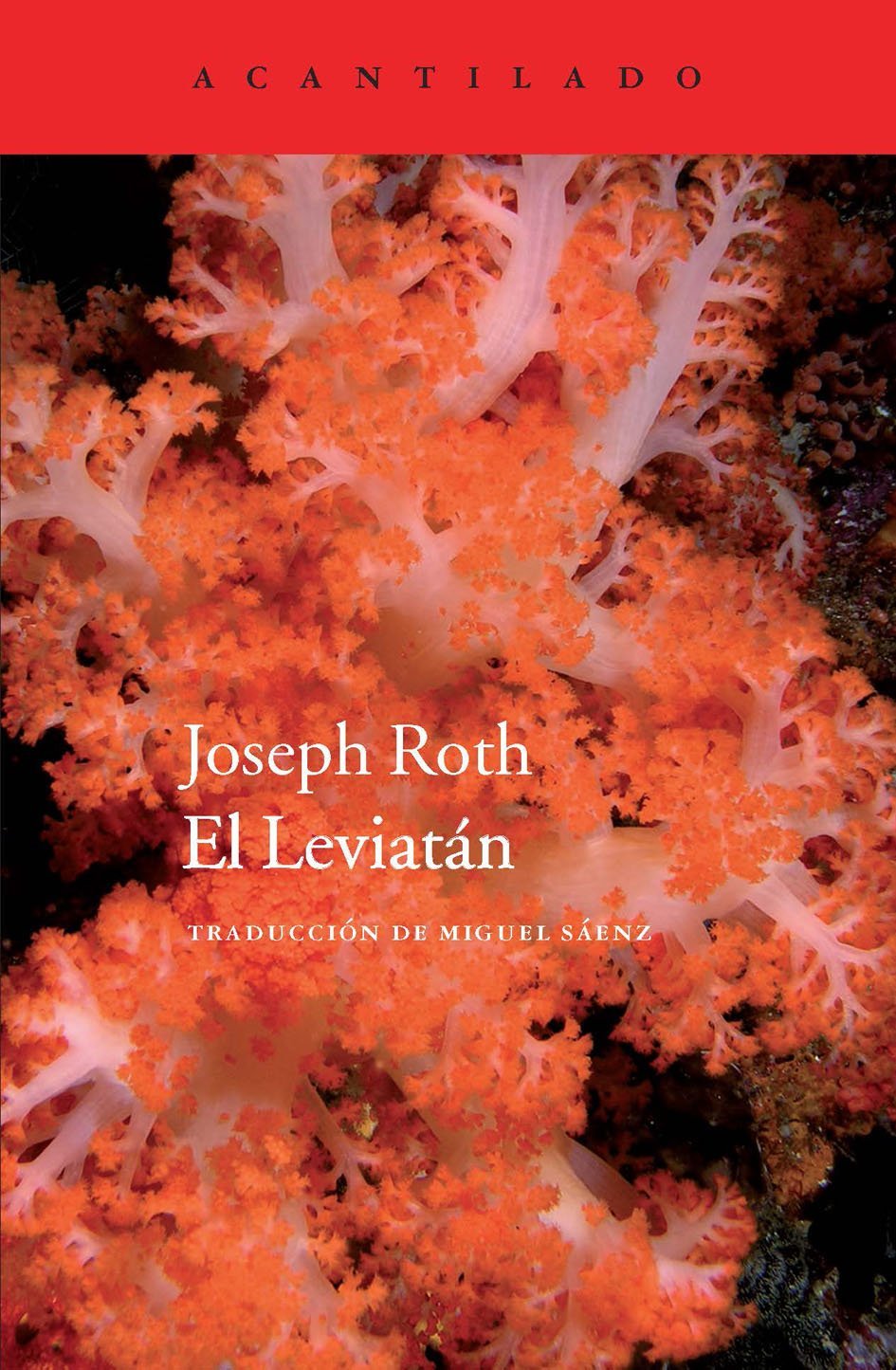 El Leviatán: 60 (Cuadernos del Acantilado)