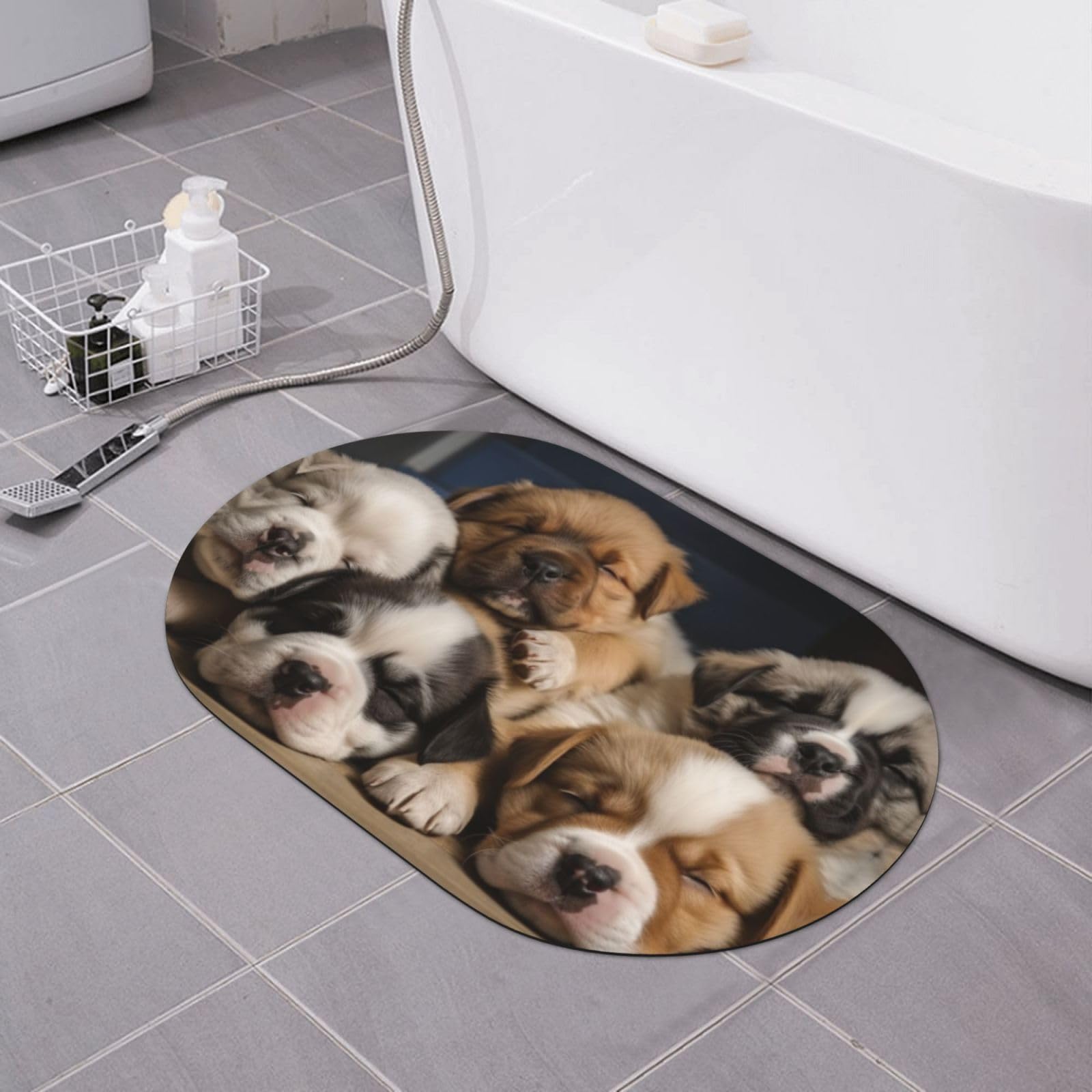 Paillasson à séchage rapide idéal pour une salle de bain moderne et toujours au sec