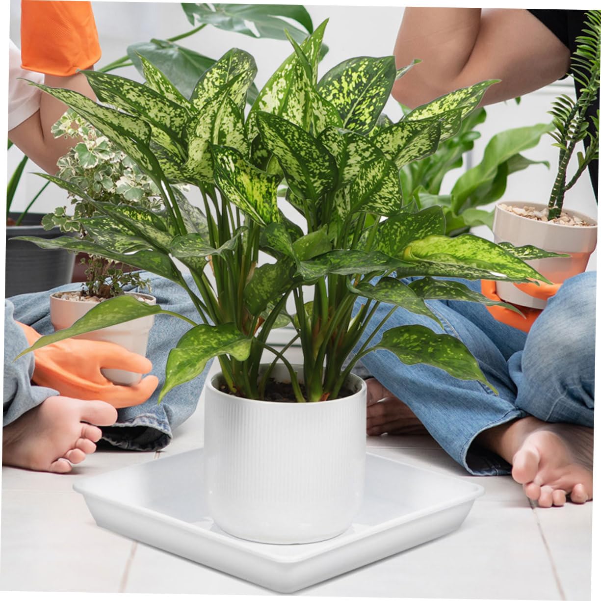 UPKOCH 2 Platillos para Macetas Cuadrados De Plástico Grueso 13.77 Pulgadas Bandeja De Goteo para Plantas Suculentas Jardín Interior Y Exterior Recolección De Agua