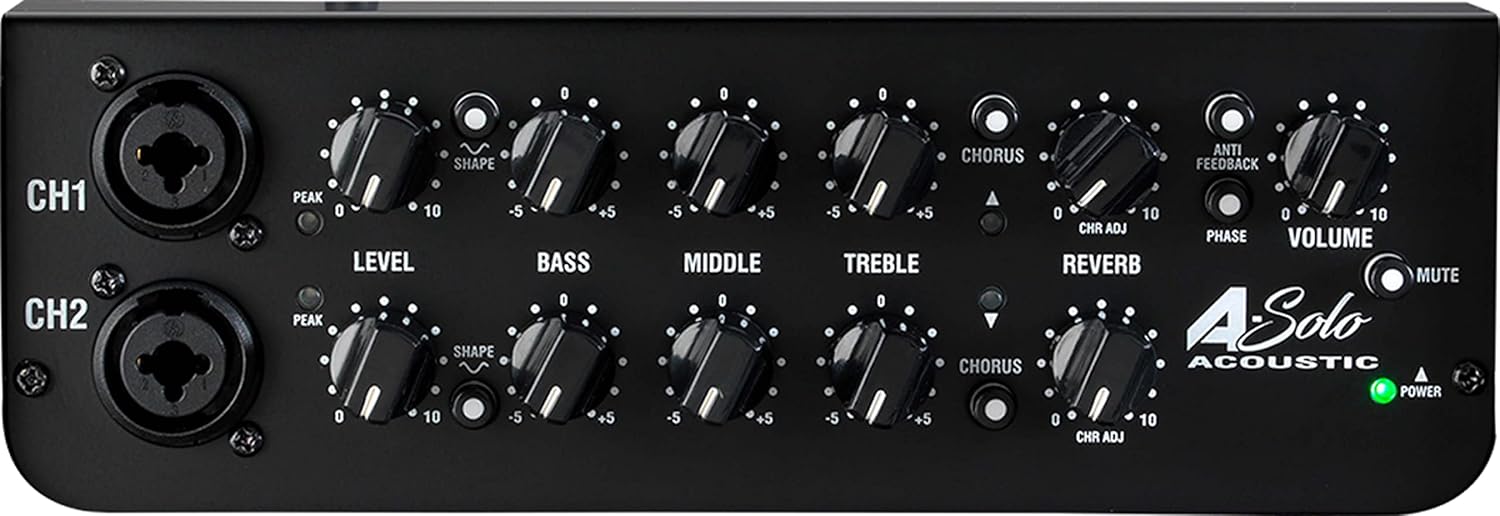 Kombo Instrumen Akustik Laney A-SOLO Amplifier, top panel controls