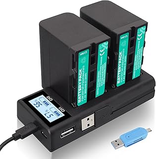 CITYORK 2 Pack 7.2V 8800mAh NP-F970 Battery Charger Set for Sony F960, F950, F930, F750, F770, F550, F530, F330 CCD-SC55, TR516, TR716, TR818, TR910, TR917 (2-Pack 8800mAh Replacement Battery and Dual Slot Charger)