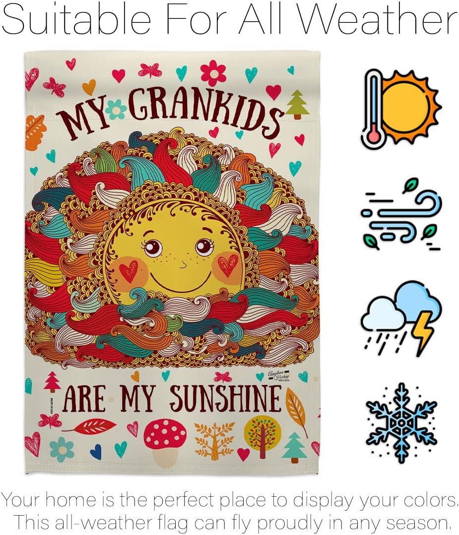 H137148-BO Grandkids are My Sunshine Special Occasion Family Decorative Vertical, House Flag 28"x 40", Multi-Color