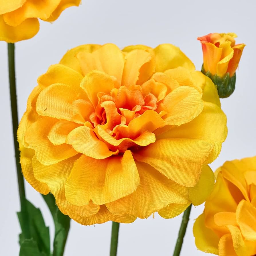 【未開封】偽りのマリィゴールド = false marigold. 1 Amazon.co.jp: 偽りのマリィゴールド 1 (MFC キューンシリーズ