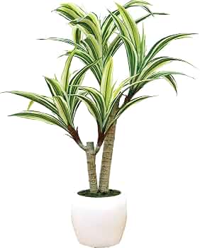 斑入りドラセナ造花観葉植物高さ約90cm幅約40cm光触媒 斑入りドラセナ造花観葉植物高さ約90cm幅約40cm光触媒