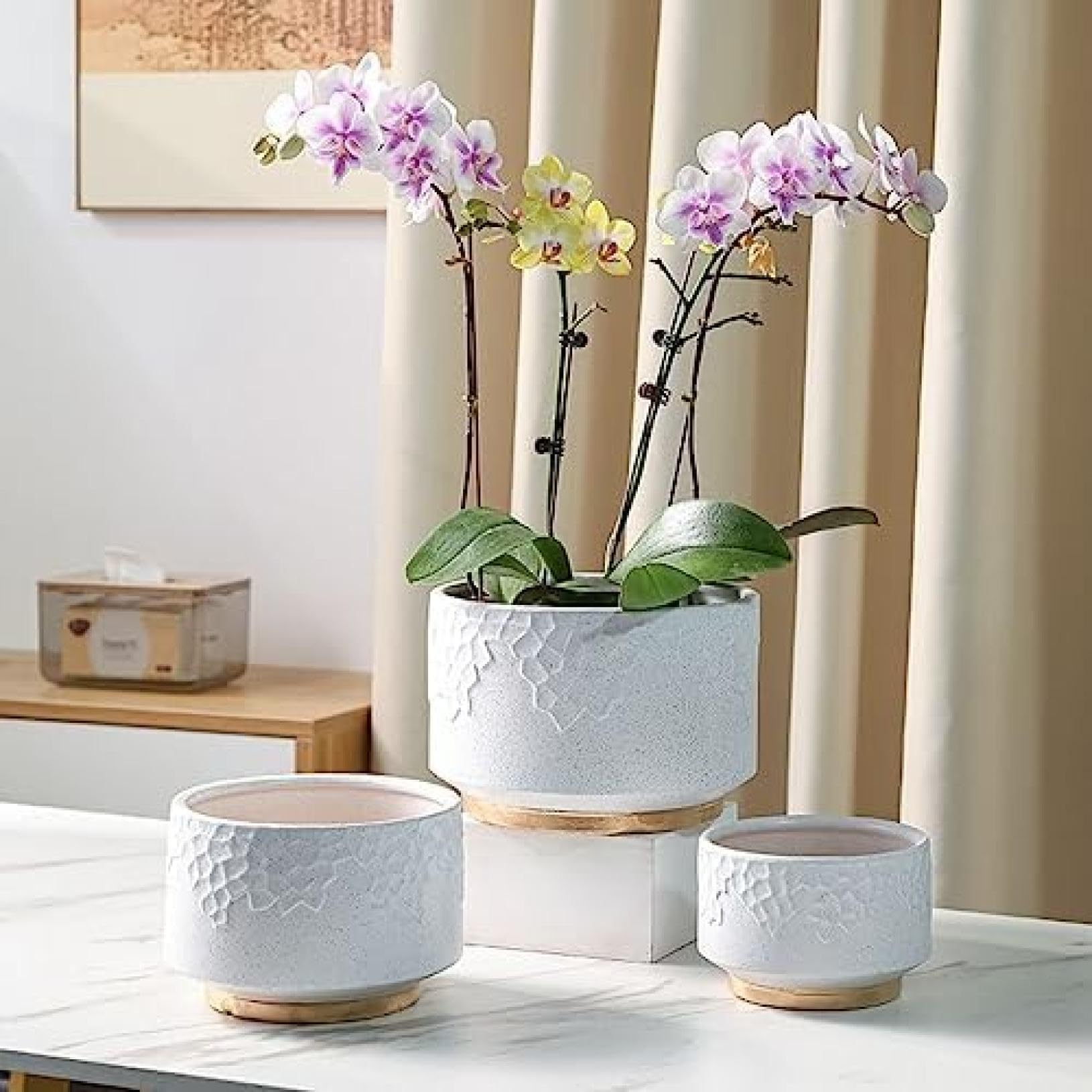 Amazon.co.jp: 陶器製 多肉植物鉢 シンプル 丸形 植木鉢 大口径 タイプ