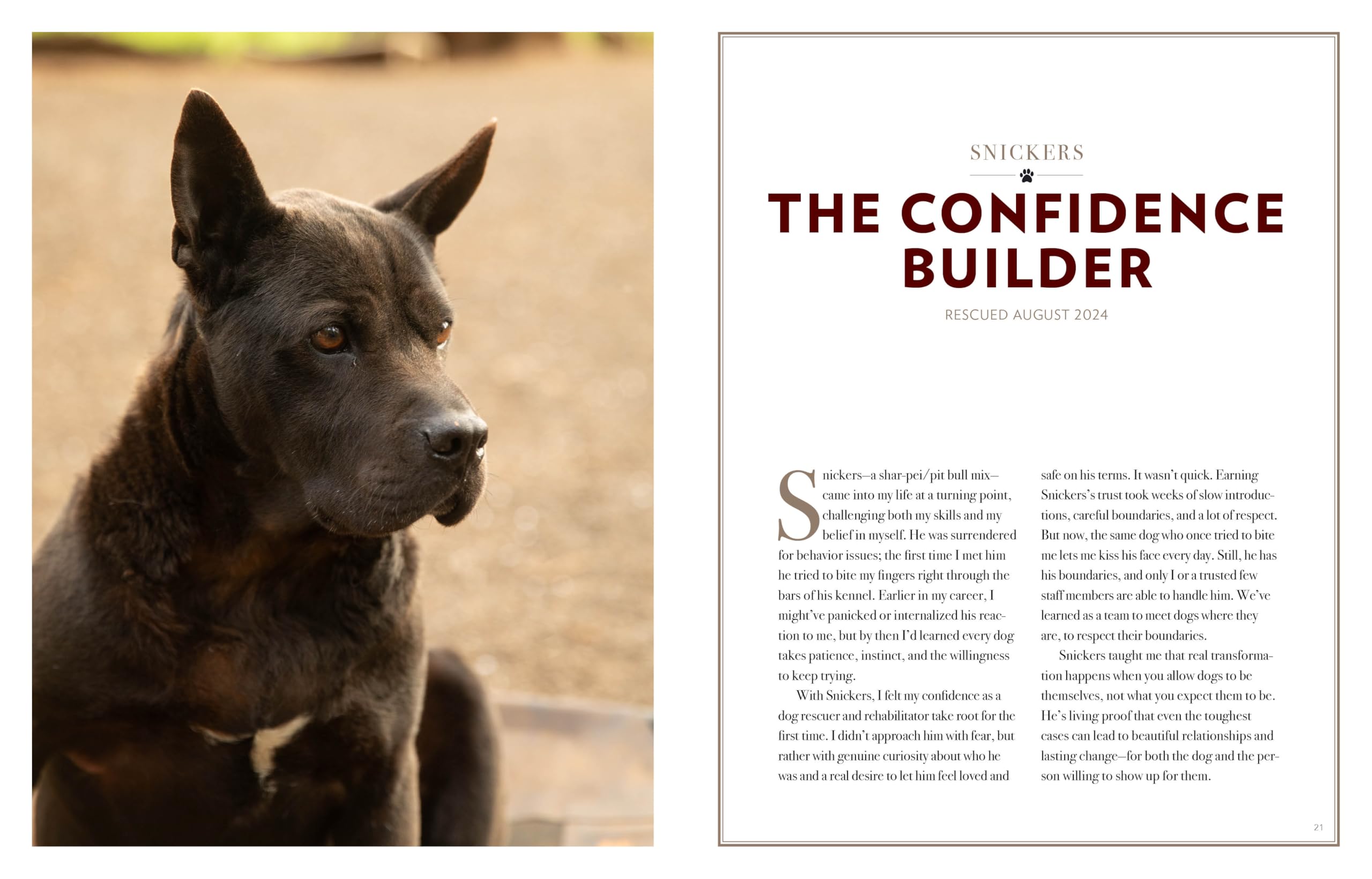 Saved by the Pack: How 50 Dogs Helped Me Find My Purpose