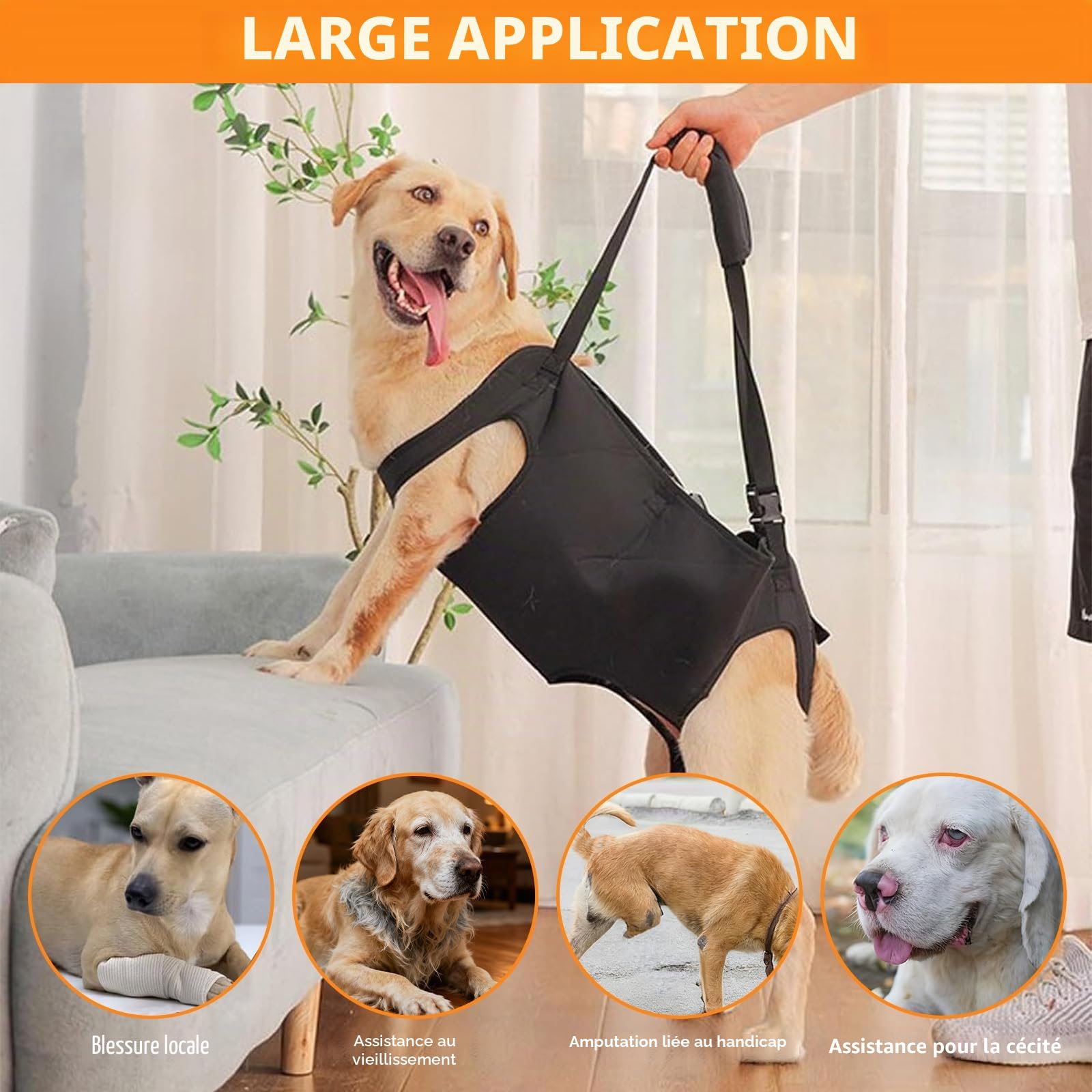 YOUNGSAY Harnais de Levage pour Chien, Harnais Grand Chien Handicapé, Réglable Harnais de Soutien pour Chiens, pour Chiens Handicapés, Aveugles, Blessés ou Âgés (Noir, L)