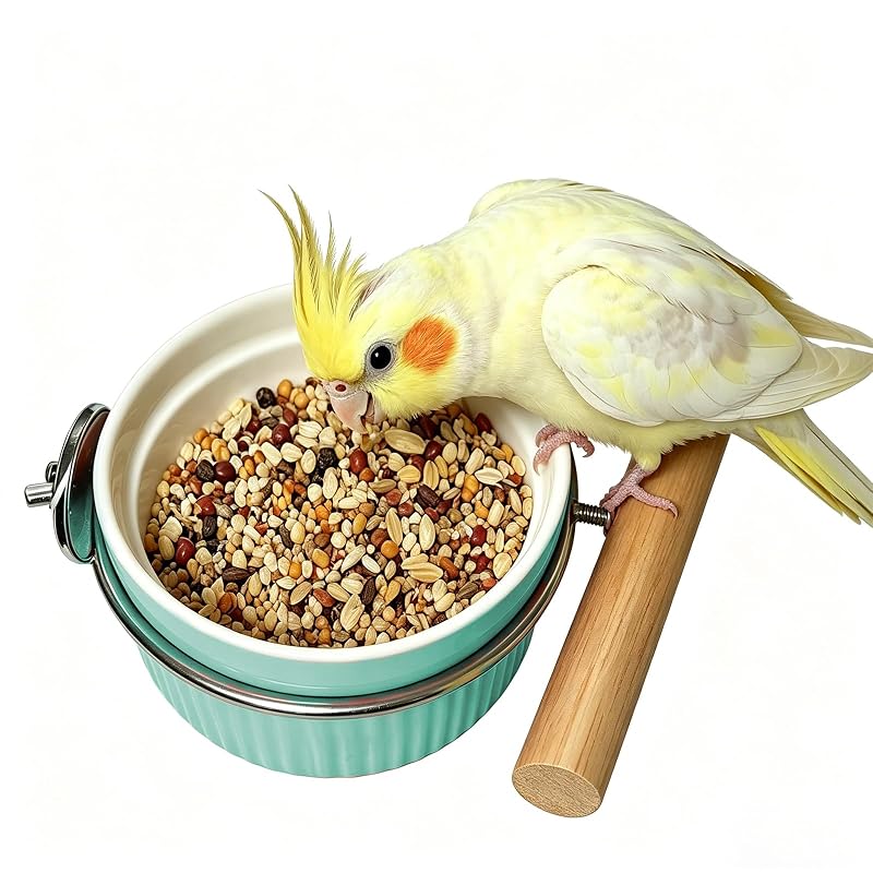 Comedouro para Gaiola de Aves em Cerâmica com Suporte de Aço Inoxidável KTCWPAW, 240 mL