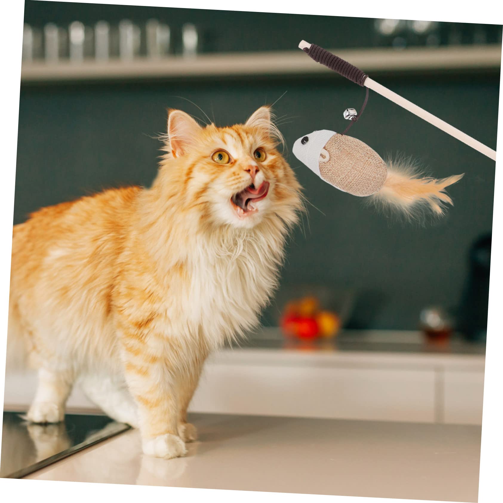 BESPORTBLE Canne À Pêche Interactive pour Chat Clochette pour Chat Dintérieur Robuste Et Amusante