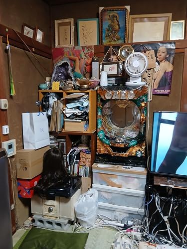 Amazon.co.jp: Polymega PM01 Base Unit ポリメガベースユニット +