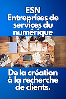 ESN : Entreprises de services du num&eacute;rique de la cr&eacute;ation &agrave; la recherche de clients | Guide Pratique pour le D&eacute;veloppement et le Marketing des ESN