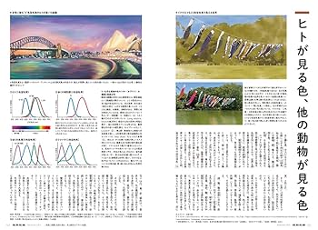 建築雑誌 2022年度1年分12冊セット 新建築／1年 (12冊) – 定期購読／毎月1日発売 | 定期購読 | 株式