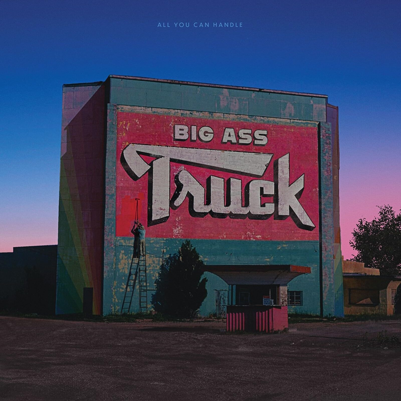 All You Can Handle [VINYL]