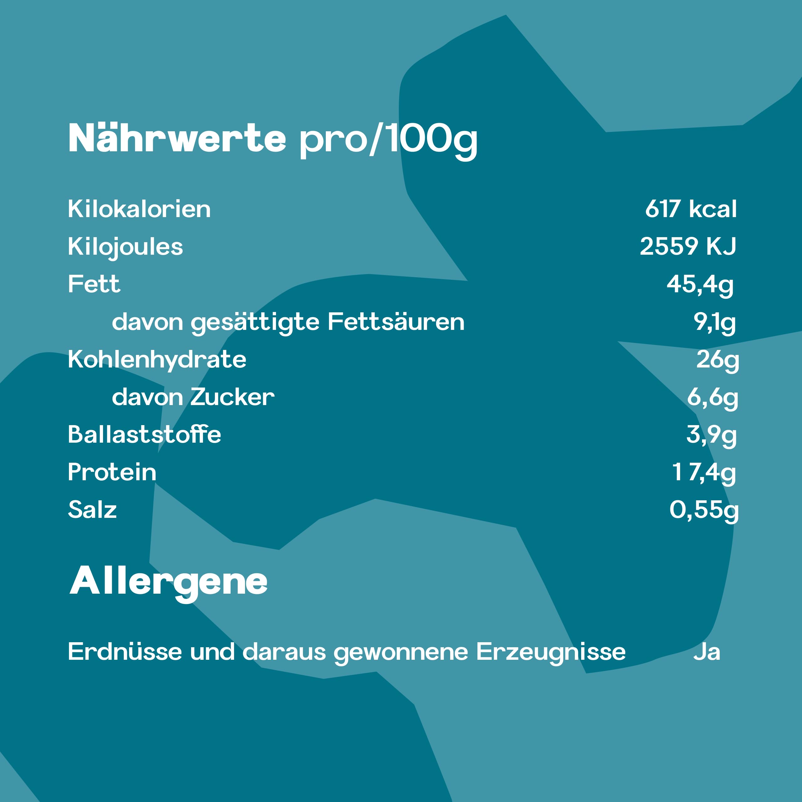 MagNuss Cashewkerne | Geröstet & gesalzen | 12x 200g-Vorratspackung | Knackige Cashews | Hochwertiger veganer Snack reich an Magnesium, Phosphor und Vitamin E