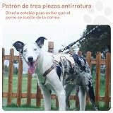 Ver la foto 6