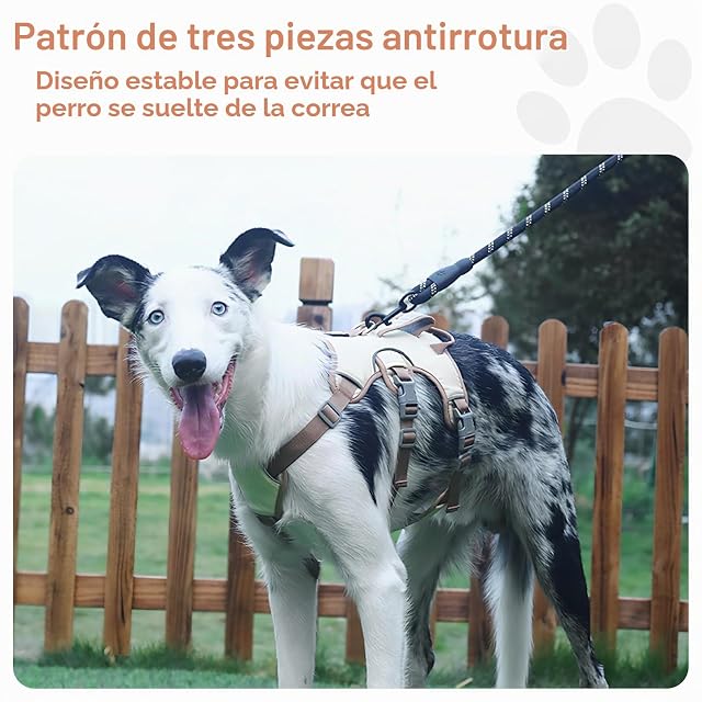 Foto 6 de 8 de Wisebom Arnés para Perros a Prueba de Escapes, Soporte Múltiple, Transpirable, Durable