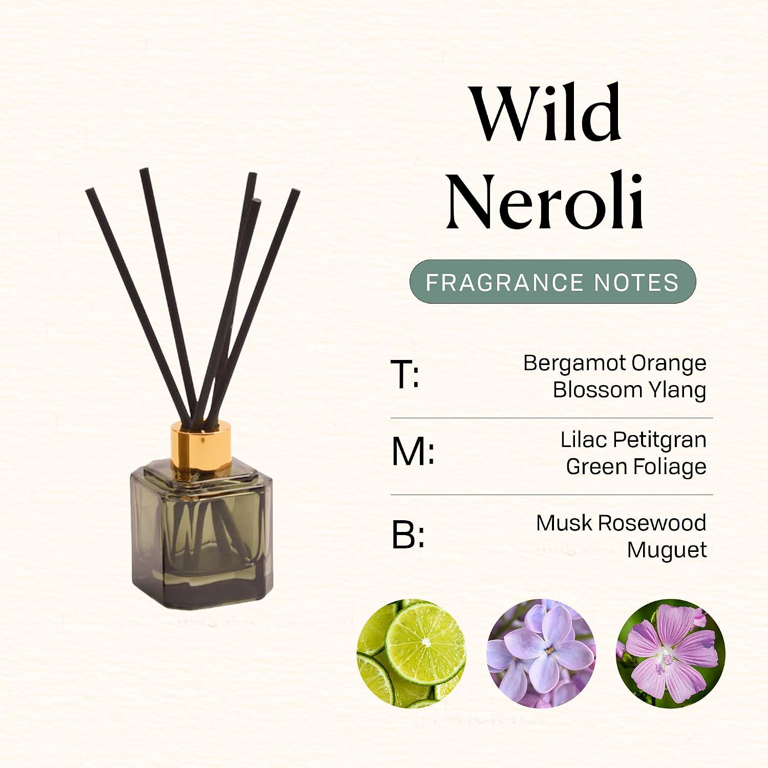 Paddywax Botanica Scented Oil Diffuser with Reeds in Reusable Greeen Glass Bottle, Tubed Gift Box, Includes Diffuser Sticks, Long-Lasting Fragrance, Reusable & Upcyclable, Wild Neroli, 2.8 fl oz