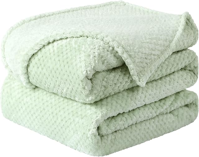 Sourcingmap Flannel Fleece Bed Blankets, Soft Warm Microfiber Blanket, Mesh Fuzzy Plush 330GSM Lightweight Decorative Solid Blankets for Bed Pale Green 130 x 150cm