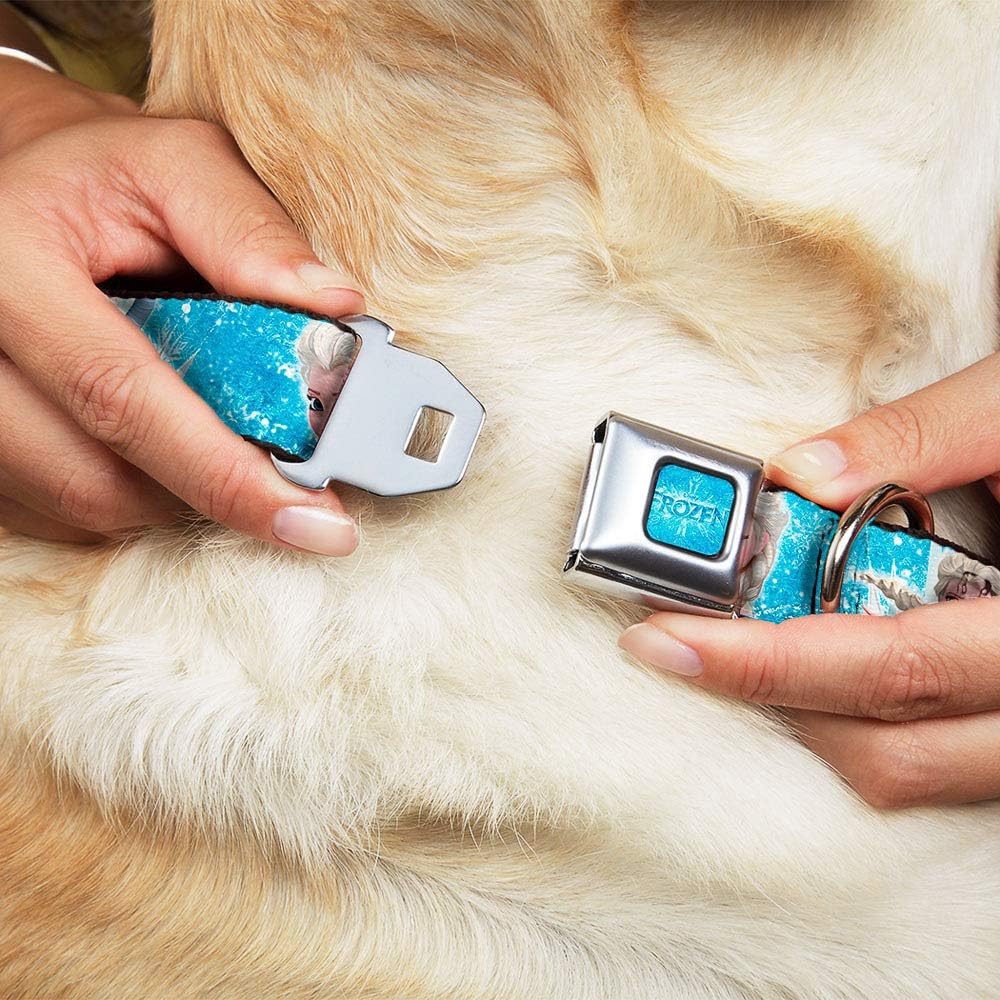 Buckle-Down Seatbelt Buckle Dog Collar - Frozen Elsa Face/Action Pose/Snowflakes Blues/White - 1" Wide - Fits 9-15" Neck - Small
