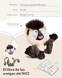 Ver la foto 6