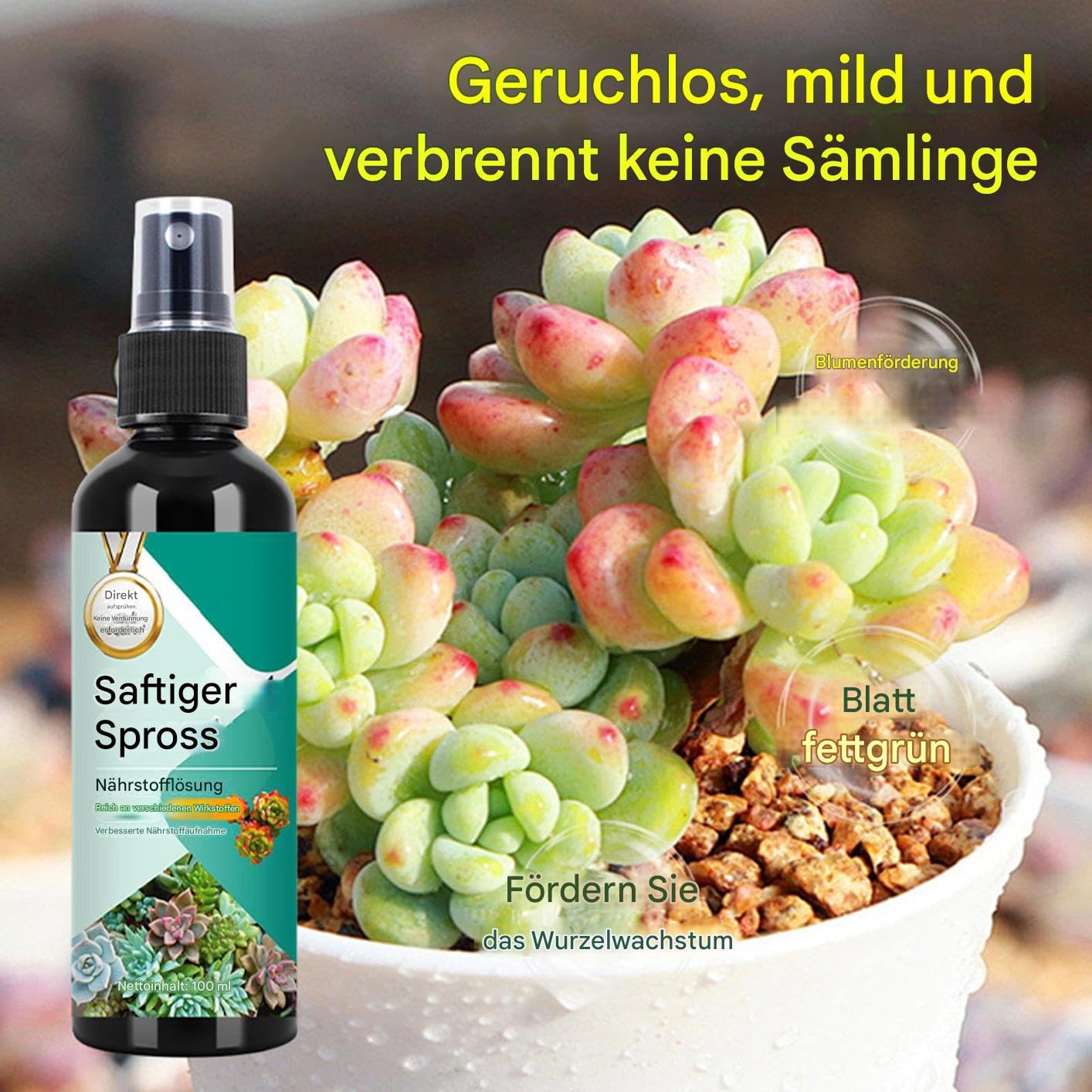 Kakteen Dünger - Sprossenstärker Spray Für Kakteen Und Sukkulenten | 100ml Langzeit-Sprühdünger Für Wachstum Und Vermehrung