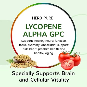 Multi Vitamin Complex Daily Multivitamins for Men and Women 28 Essential Vitamins & Minerals with Active Vitamins, Superfood Blend, Alpha GPC Made in USA, Non-GMO, 60 Capsules(1 Pack)