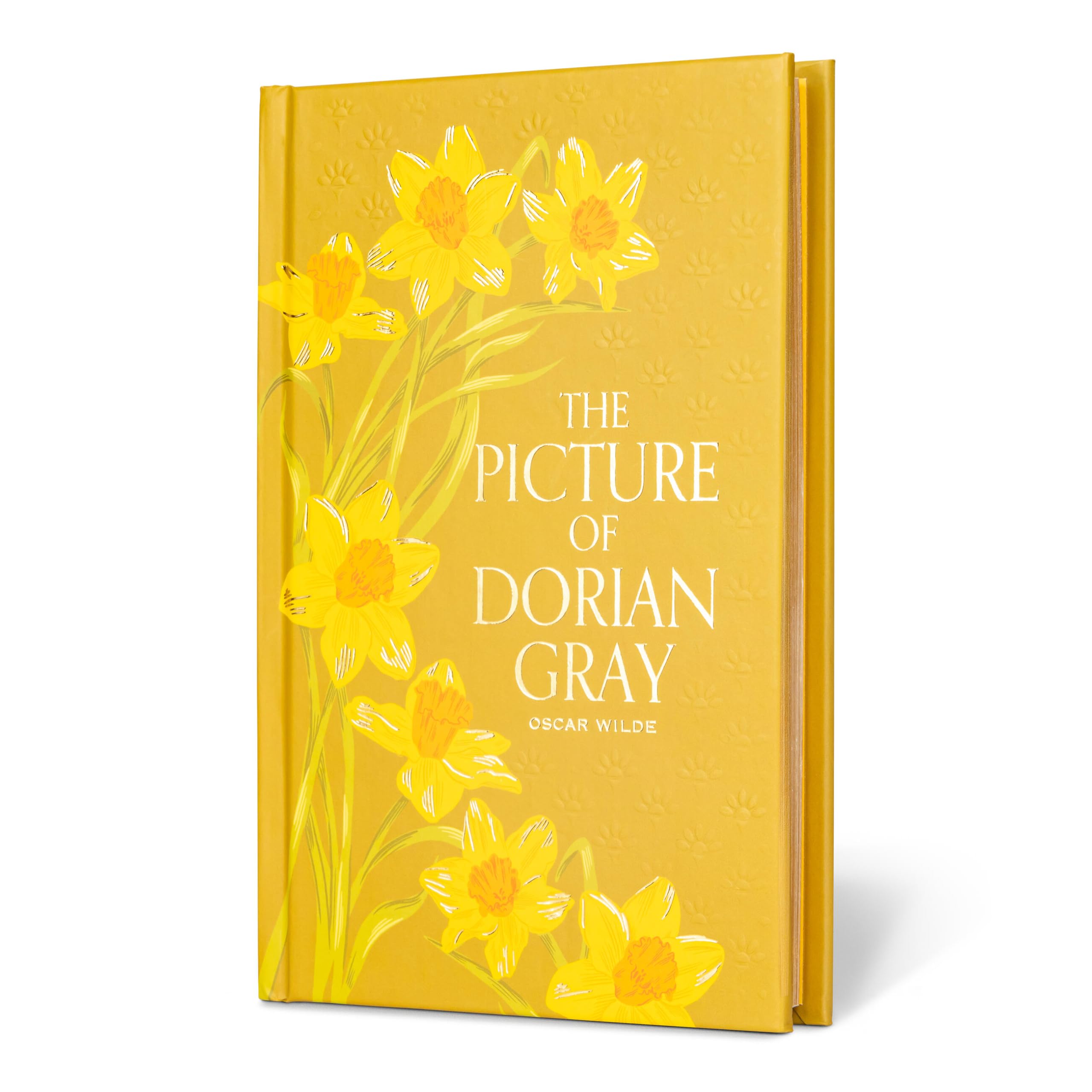 The Picture of Dorian Gray (Special Edition) by Oscar Wilde (Hardback Book)