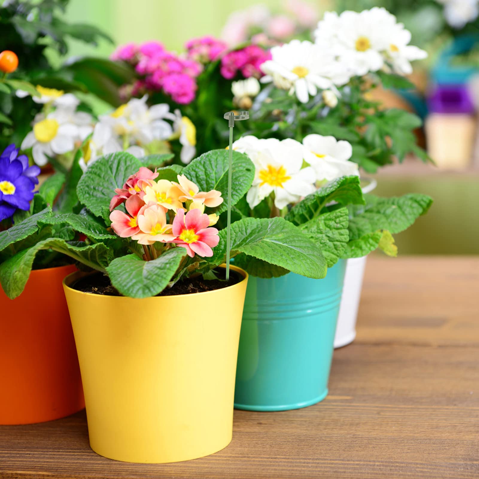 TOYANDONA 3 Sätze Pflanzenstütze Stäbe Klammern Verstellbare Rankhilfe für Topfpflanzen für Garten und Balkon zur Unterstützung von Kletterpflanzen und Blüten