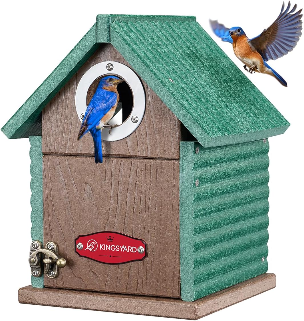 Kingsyard Recycled Plastic Bird House for Outdoors – Weatherproof Nesting Box with Clear View Panel & Predator Guard for Bluebird Wren Swallow Finch, Green