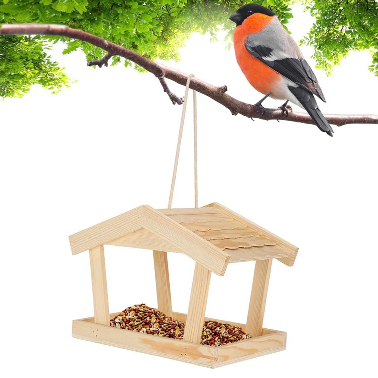 Maison en bois pour oiseaux extérieur colibri jardin