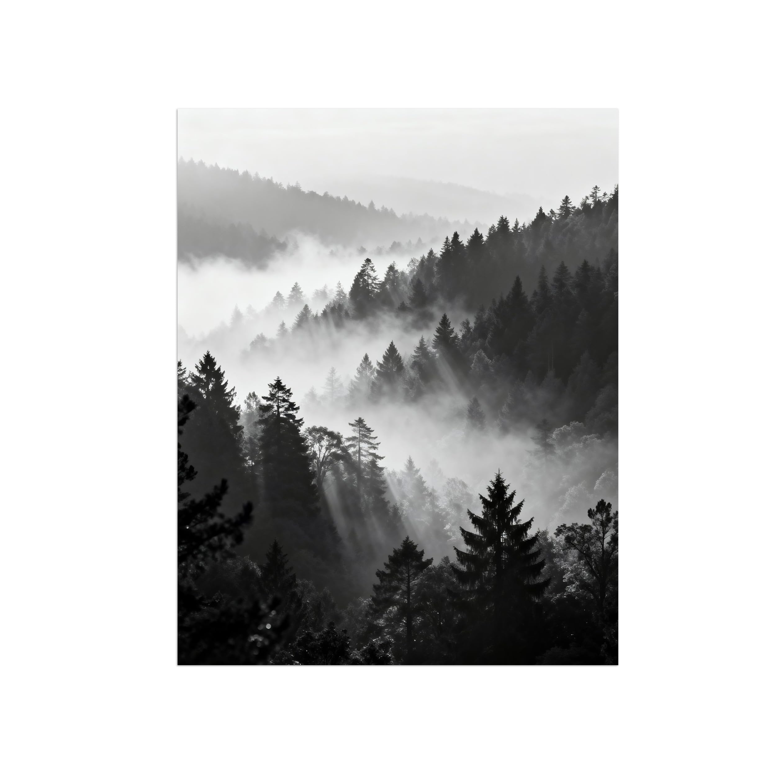 OZPWBVY Black and White Landscape Print Painting-Forest Sunshine-Minimalist Canvas Wall Art Picture for Home Decor 24x31in 60x80cm Unframed