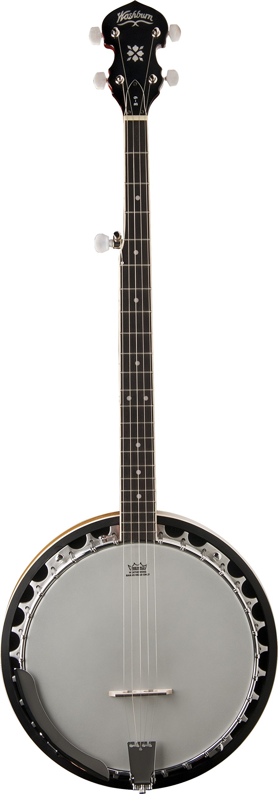 バンジョー washburn B-9 Washburn Guitars