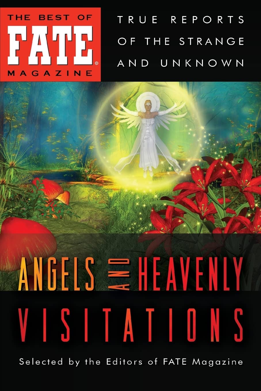 Angels and Heavenly Visitations: 2 (The Best of FATE Magazine)