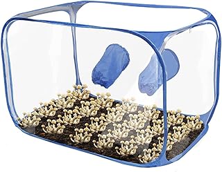 Still Air Box, Portable Mushroom Grow Tent Kit, Mushroom Monotub Kit Mushroom Growing Container Mycology Fume Hood Propagation Stations for Spores Horticulture Supplies