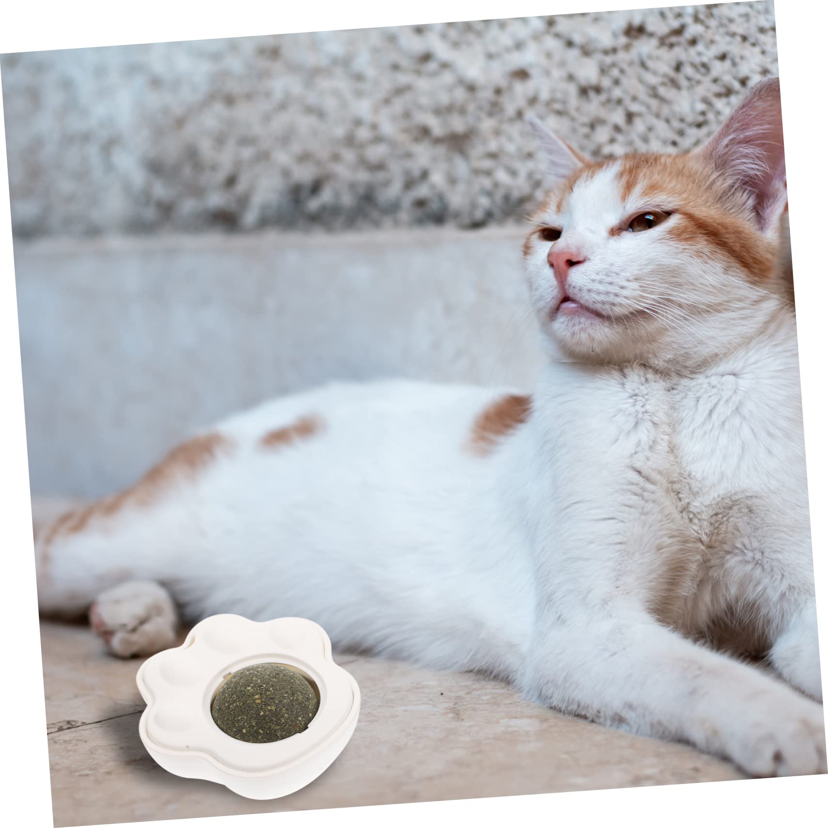 minkissy 10 Juegos gatera Juguetes Juguete para morder Gato Juguete de Limpieza Juguete para Mascotas Juguete Interactivo para Gatos Menta Gatito Gato de Interior Juguete para Gatos