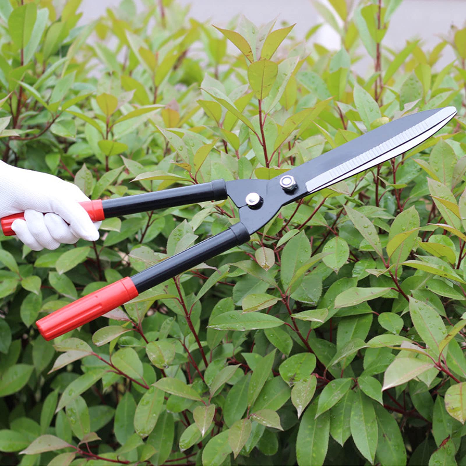 Heckenschere Gartengeräte Garten, Klinge Starke Aluminiumgriffe Manuelle Heckenschere Zum Beschneiden Von Rabatten Formgehölze Buchsbaumgräser,