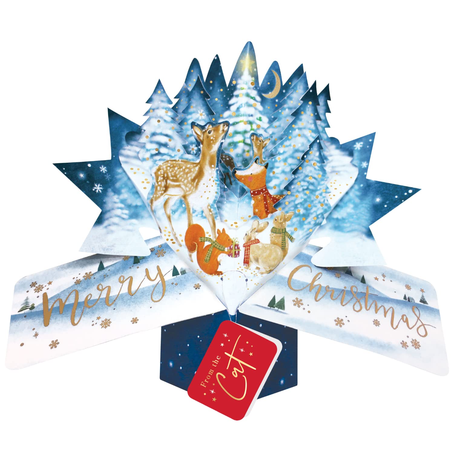 From The Cat Christmas Card 3D Woodland Animals Pop Up Christmas Card Xmas Cards POP064X52