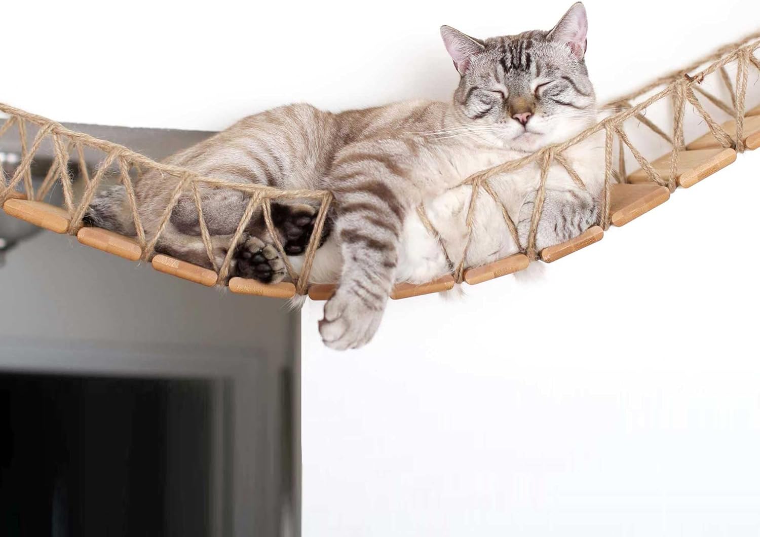 Cat Bridge - 50-Inch