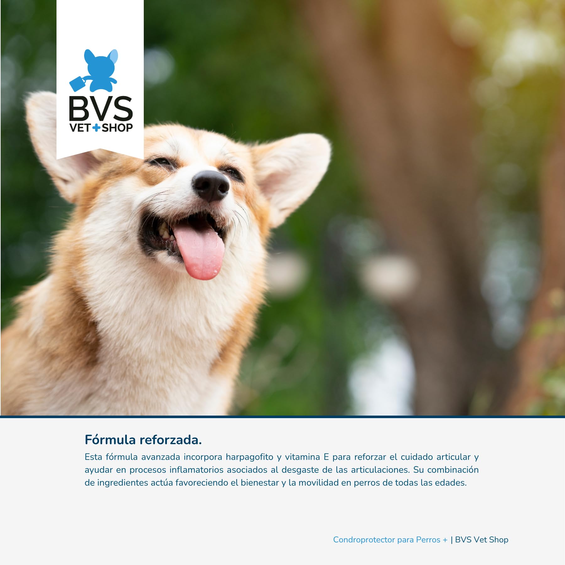 BVS Vet Shop | Condroprotector Plus para Perros | Ayuda para Problemas articulares de tu Mascota | 300 Comprimidos